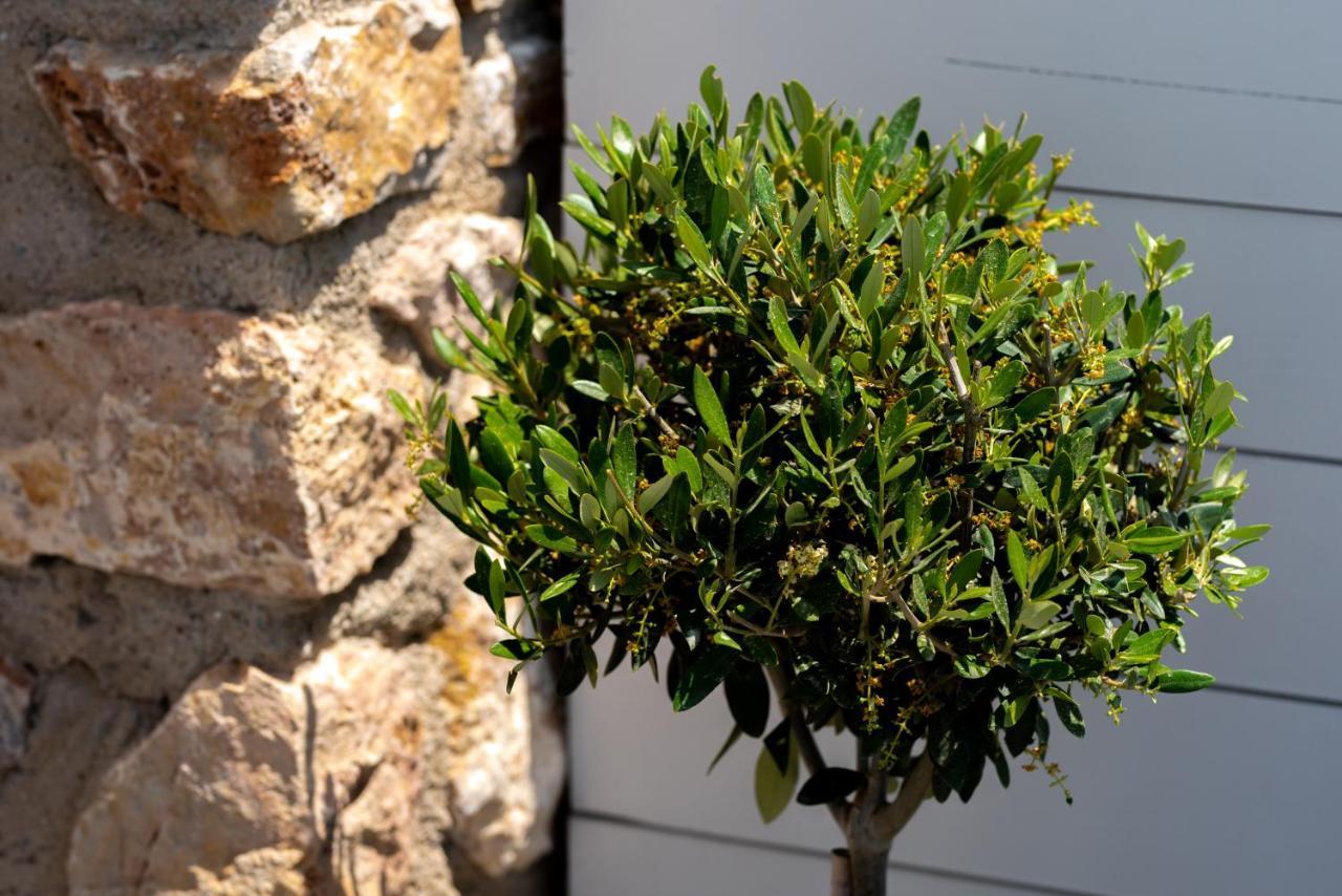 פריבולוס Kasteli Suites מראה חיצוני תמונה